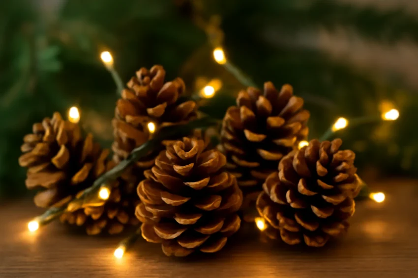 christmas pine cone lights