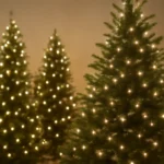 Christmas Trees with Warm White Lights: Cozy Holiday Glow Guide christmas trees with warm white lights